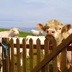 D'hôtes Au Bout Du Monde 3*