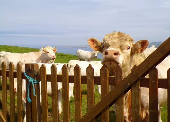 D'hotes Au Bout Du Monde 3*